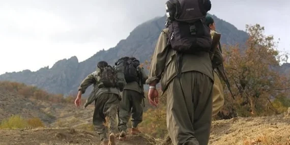 DEM Parti: Haftaya silahsızlanmayla ilgili tarihi adım bekliyoruz