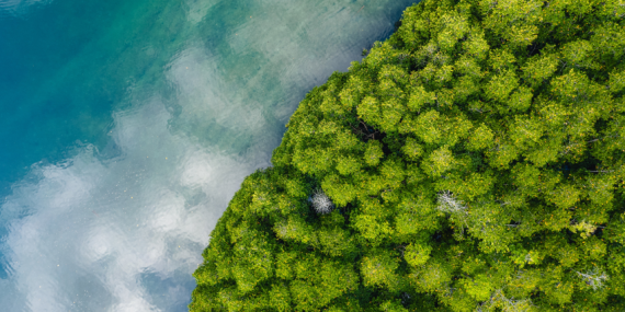 Küresel ısınma 1,47 santigrat dereceyi aştı: Dünya en sıcak üçüncü yılını yaşadı