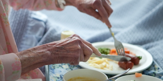 Knowridge | Bilim insanları araştırdı: Yeni diyet Alzheimer’a karşı koruma sağlayabilir