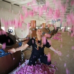 Berdan Mardini'nin memleketinde kurduğu fabrikada işlenecek güllerin hasadı yapıldı