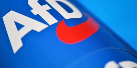 INSA | Almanya’da aşırı sağ rüzgarı esiyor: AfD’nin oy oranı yüzde 28’e dayandı